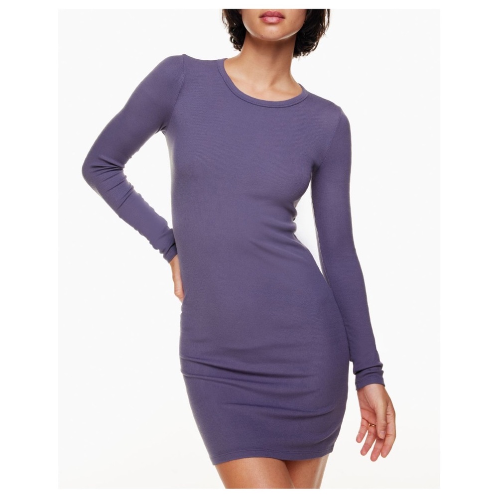 Aritzia Wilfred Free Stayover Purple Long Sleeve Crewneck Mini Dress Size Small